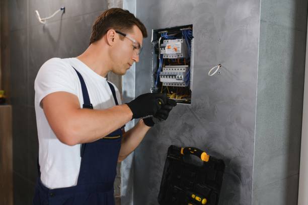 Best Electrical Troubleshooting Services  in Port Barrington, IL